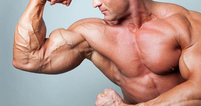 10 Muscle Hypertrophy Secrets of Successful Bodybuilders