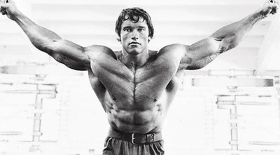 The Austrian Oak's Blueprint: Arnold Schwarzenegger's Chest Training Program for Mr. Olympia Dominance
