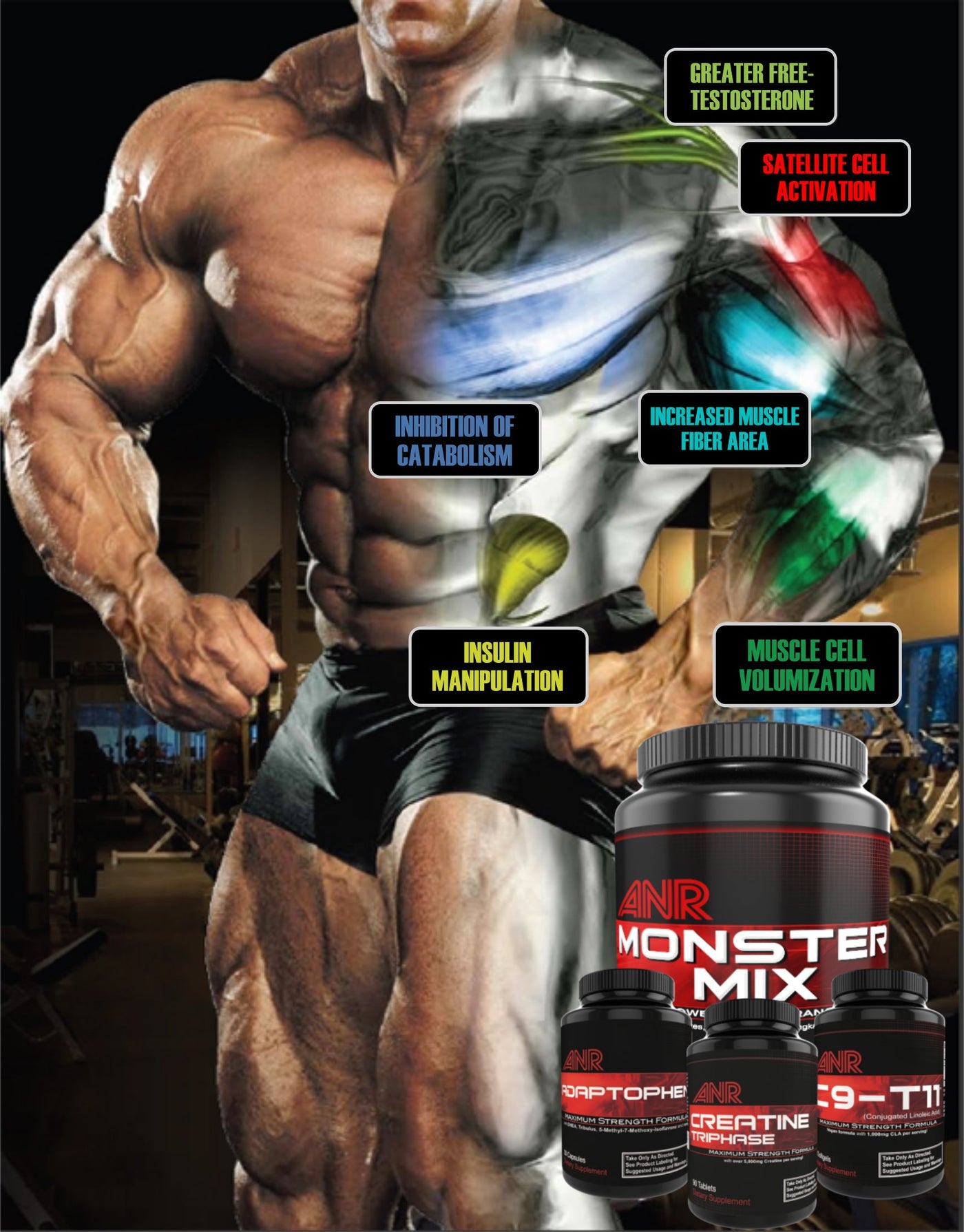 Monster Muscle-Building Stack 2.0 - TeamANR